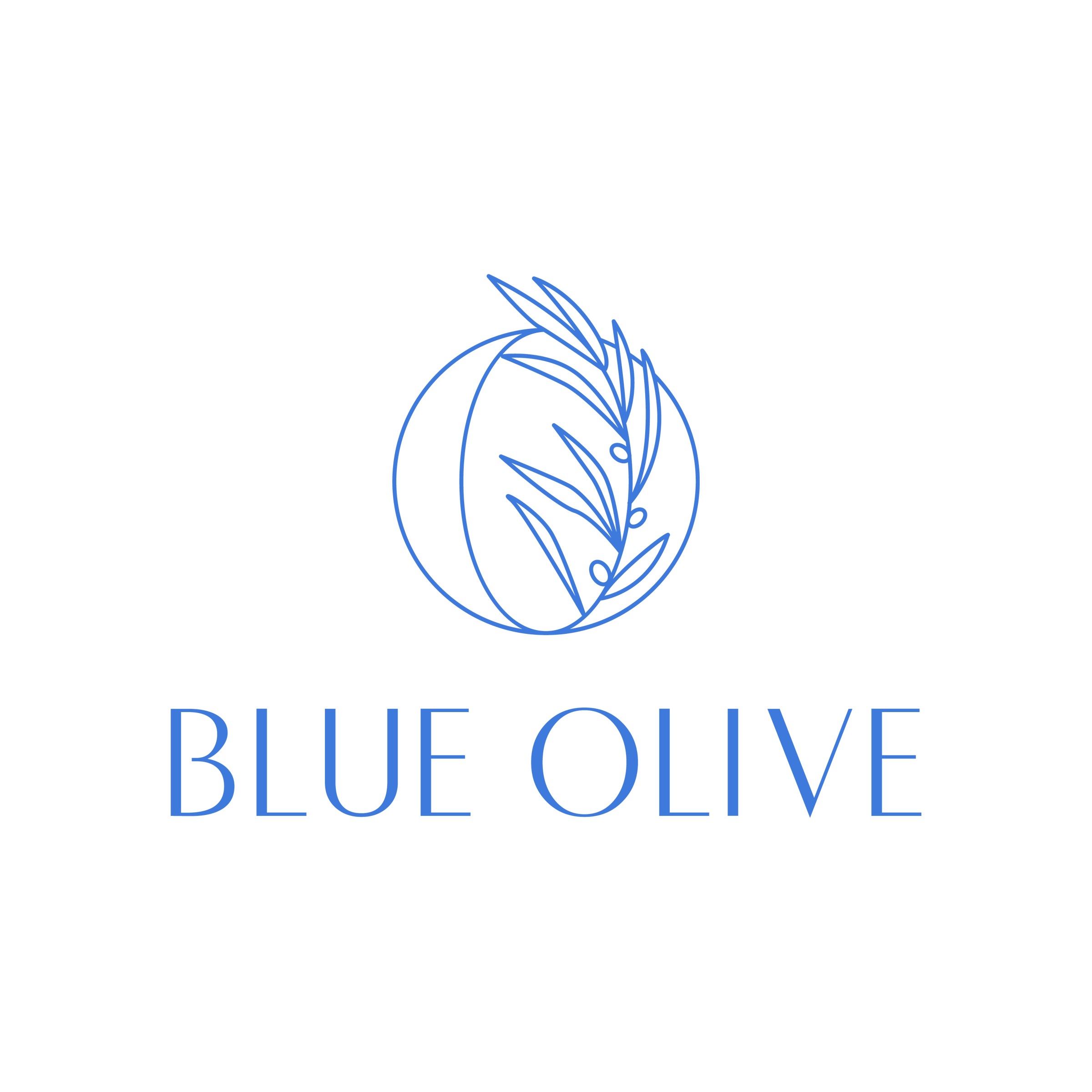 Mediterranean Cuisine BYOB Blue Olive LLC